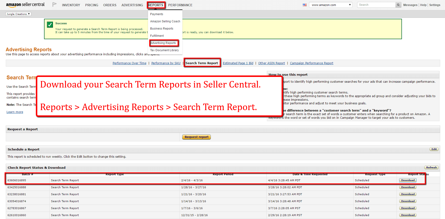 search_term_report