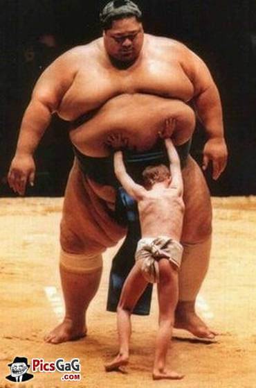sumo-wrestler-funny-fights